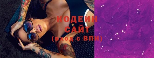 индика Бородино