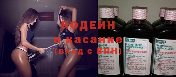 индика Бородино