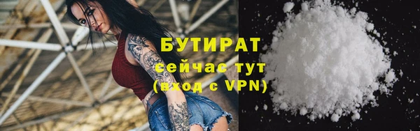 индика Бородино