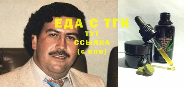 индика Бородино