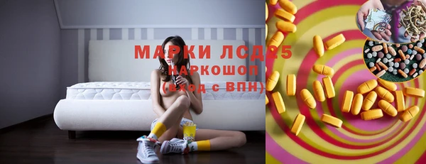 индика Бородино