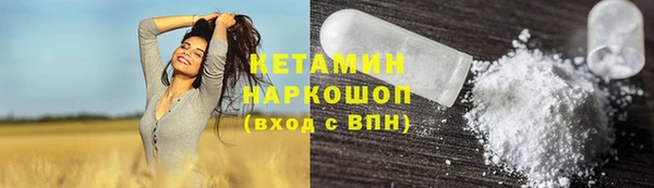индика Бородино