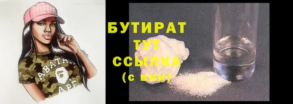 индика Бородино