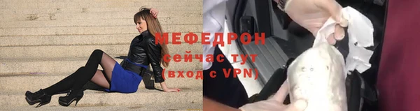 индика Бородино