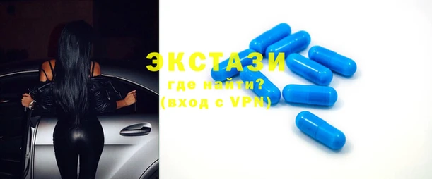 индика Бородино