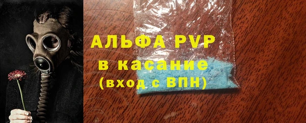 индика Бородино