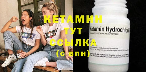 индика Бородино