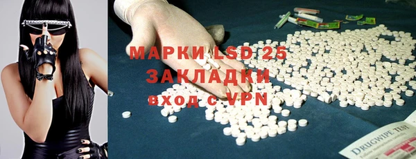 индика Бородино