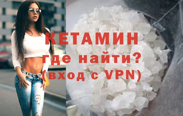 индика Бородино