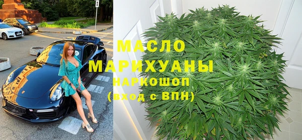 индика Бородино