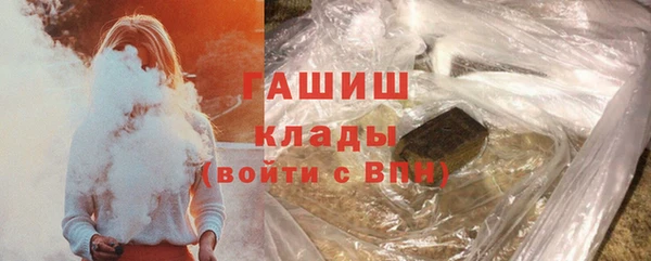 индика Бородино