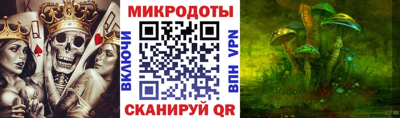 Псилоцибиновые грибы прущие грибы  Купить  Валдай 